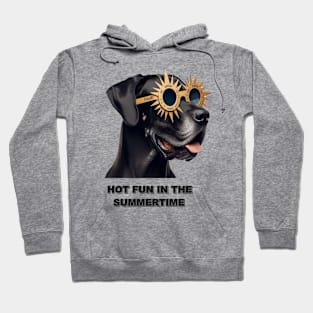 Hot Fun In The Summertime Hoodie